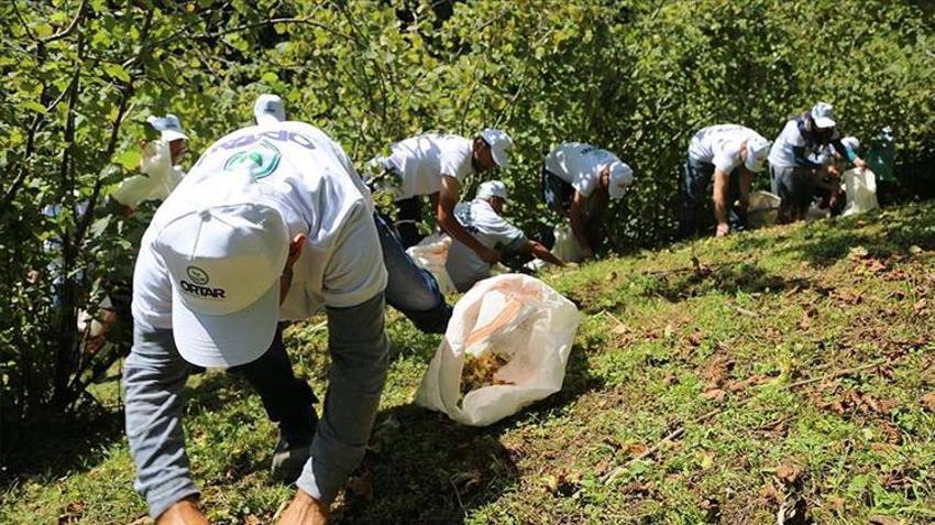 Ordu, Giresun Avrupa'yı solladı, lider açık ara Türkiye