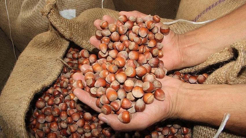 Ordu, Giresun Avrupa'yı solladı, lider açık ara Türkiye
