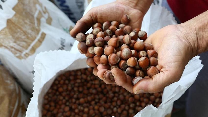 Ordu, Giresun Avrupa'yı solladı, lider açık ara Türkiye