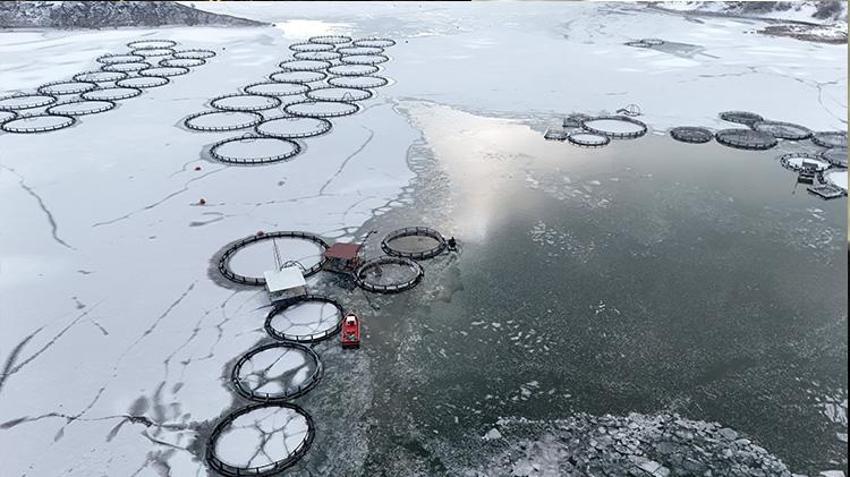 Erzincan'da balıkçıların buzlu göldeki balıkçılık mücadelesi görüntüleri Antarktika'yı anımsattı!