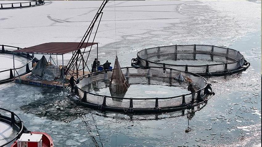 Erzincan'da balıkçıların buzlu göldeki balıkçılık mücadelesi görüntüleri Antarktika'yı anımsattı!