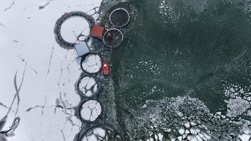 Erzincan'da balıkçıların buzlu göldeki balıkçılık mücadelesi görüntüleri Antarktika'yı anımsattı!