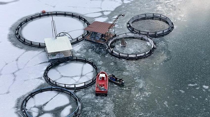 Erzincan'da balıkçıların buzlu göldeki balıkçılık mücadelesi görüntüleri Antarktika'yı anımsattı!