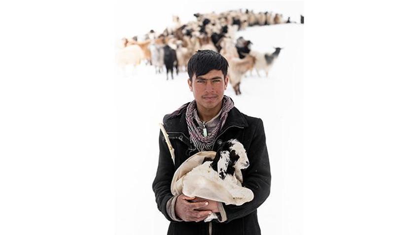 Erzincan'da yürekleri ısıtan görüntüler! Sürü sahipleri annelerinin emzirmediği kuzuları biberonla emziriyor