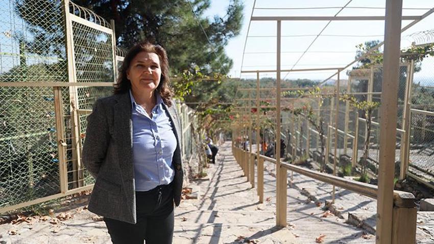 Antalya Doğal Yaşam Parkı'nın en yaşlı üyesi 'Sabi' kış gününde de güneş ışığından mahrum kalmıyor