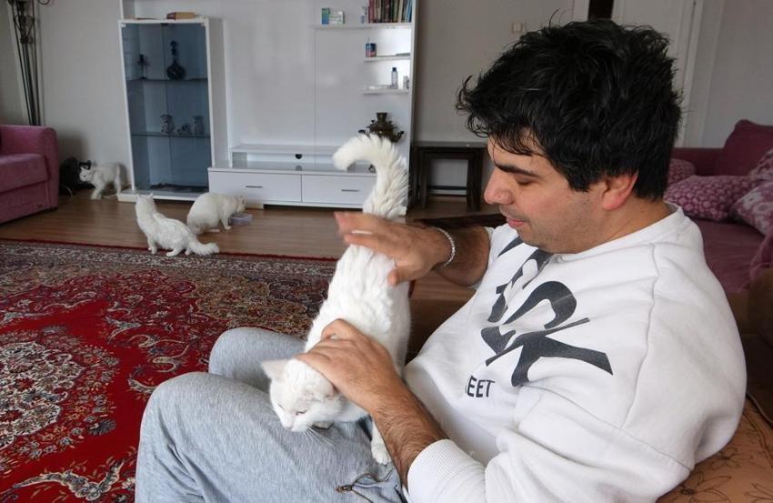 Van kedilerinin neslini kurtarmak için evinin kapılarını açtı: Evinde tam 35 kedi besliyor