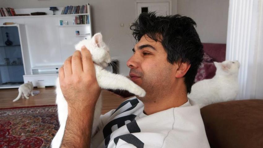 Van kedilerinin neslini kurtarmak için evinin kapılarını açtı: Evinde tam 35 kedi besliyor