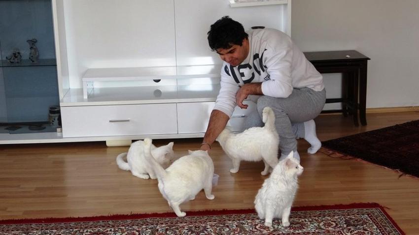 Van kedilerinin neslini kurtarmak için evinin kapılarını açtı: Evinde tam 35 kedi besliyor