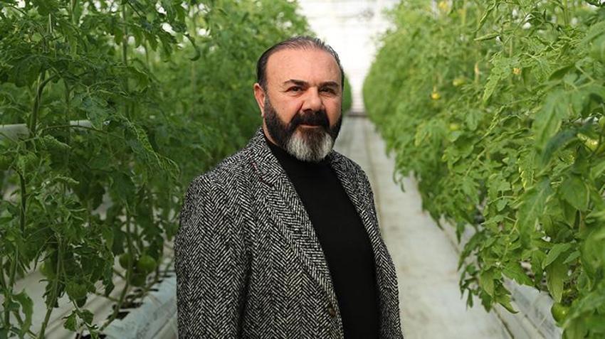 Erzincan'da jeotermal su kaynaklarıyla seralarda domates üretimi yapılıyor