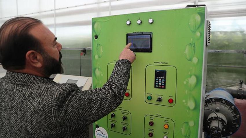 Erzincan'da jeotermal su kaynaklarıyla seralarda domates üretimi yapılıyor