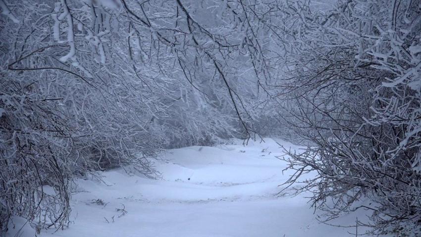 Kış kapıda! Meteoroloji'den uyarılar peş peşe geldi! Kar İstanbul'a dayandı