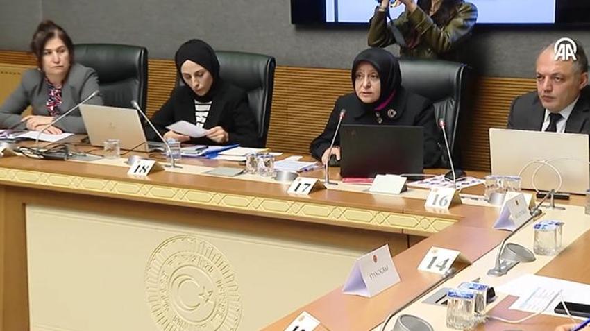 Meclis Araştırma Komisyonu Narin Güran davası hakkında ilgili bakanlıktan bilgi aldı! 'Aileden 50'den fazla çocuk tespit ettik'