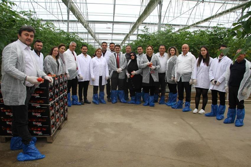 Manisa'da jeotermal serada yılın ilk hasadı gerçekleşti! Bölgenin en önemli tarımsal inovasyonu