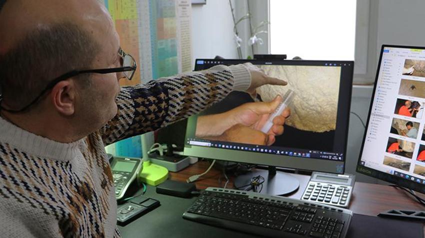 Türkiye'de bir ilk! Samsun'da mağarada bulundu, ilaç olarak kullanılacak