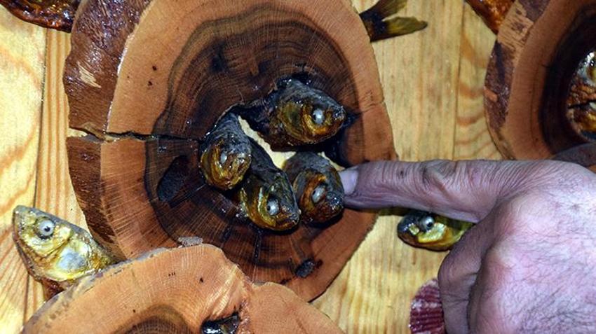 Van'da yedek parça satan esnaf yaptığı tablolarla çevre bilinci oluşturuyor