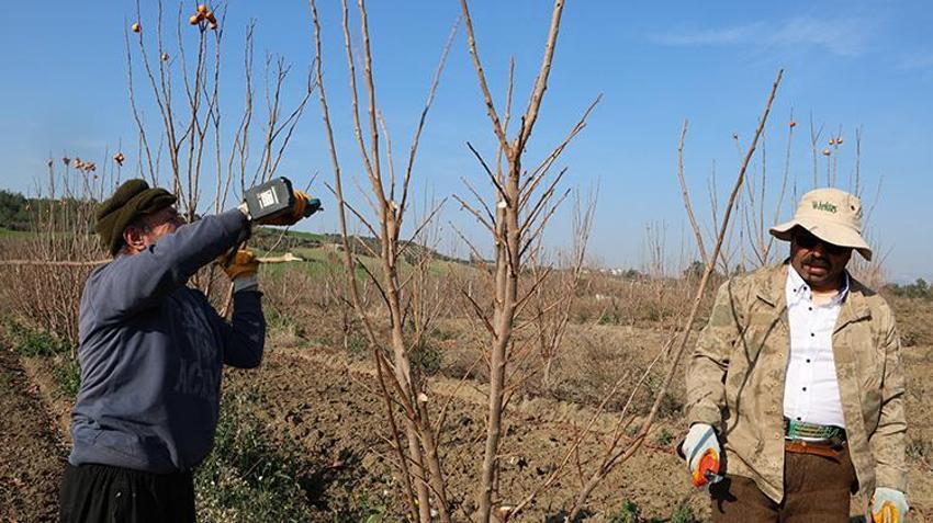 Adana Kozan'da budama ustaları teknolojiyle rahatladı! Nasırlı ellerden eser kalmadı