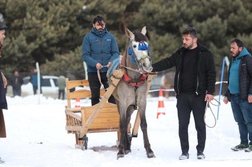 Erzurum'da görsel şölen! Geleneksel Atlı Kızak Şöleni düzenlendi