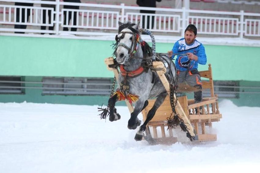 Erzurum'da görsel şölen! Geleneksel Atlı Kızak Şöleni düzenlendi