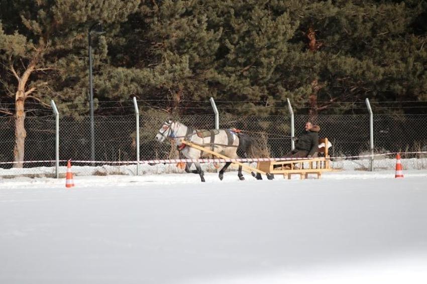 Erzurum'da görsel şölen! Geleneksel Atlı Kızak Şöleni düzenlendi