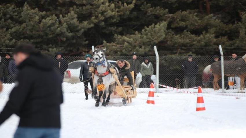 Erzurum'da görsel şölen! Geleneksel Atlı Kızak Şöleni düzenlendi