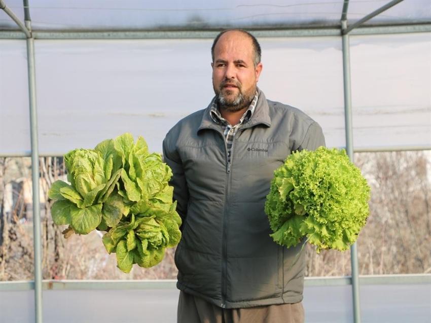 25 bin nüfuslu ilçede 780 ton sebze yetiştirildi