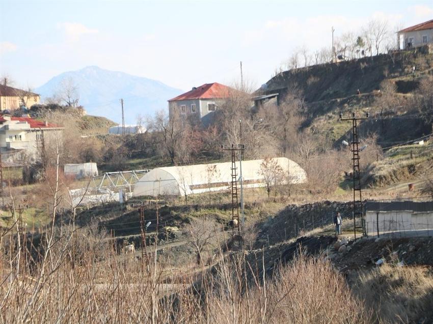 25 bin nüfuslu ilçede 780 ton sebze yetiştirildi