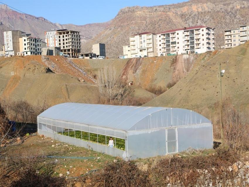 25 bin nüfuslu ilçede 780 ton sebze yetiştirildi