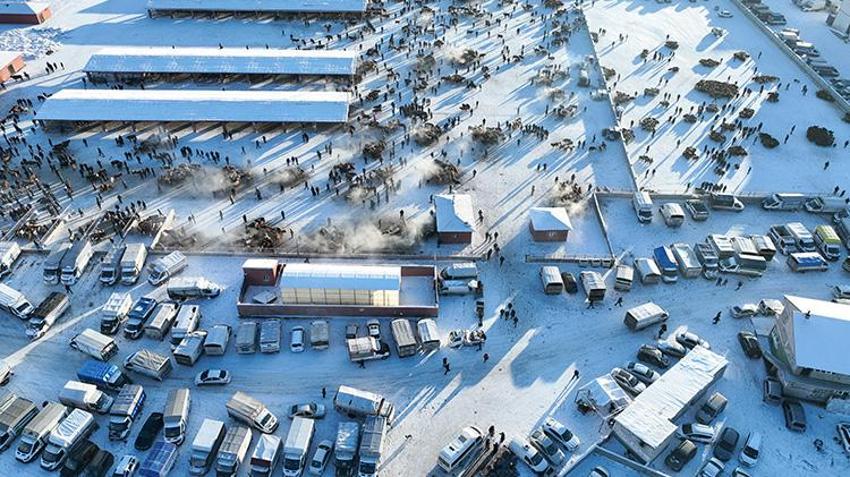 Ağrı'nın hayvan borsası alıcı ve satıcıları bir araya getiriyor! Son dönemin popüler pazarında eksi 20 derecede sıkı pazarlıklar yapılıyor 