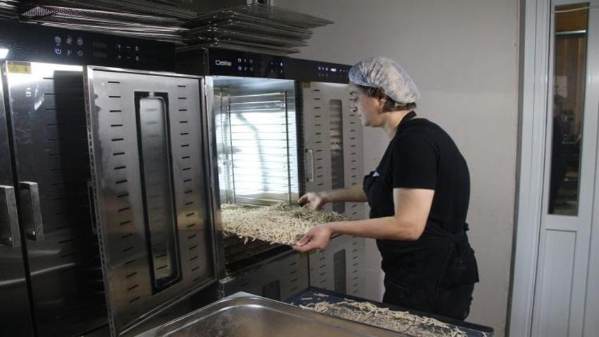 Kabuğunu kırmak isteyen  Adanalı kadınlardan emek hareketi: Ayda 3 ton üretiyoruz