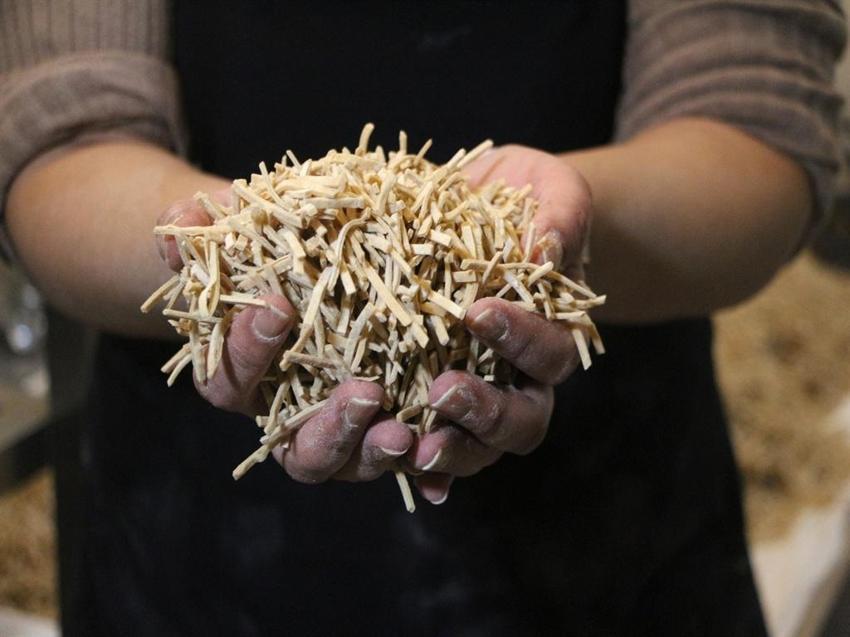 Kabuğunu kırmak isteyen  Adanalı kadınlardan emek hareketi: Ayda 3 ton üretiyoruz