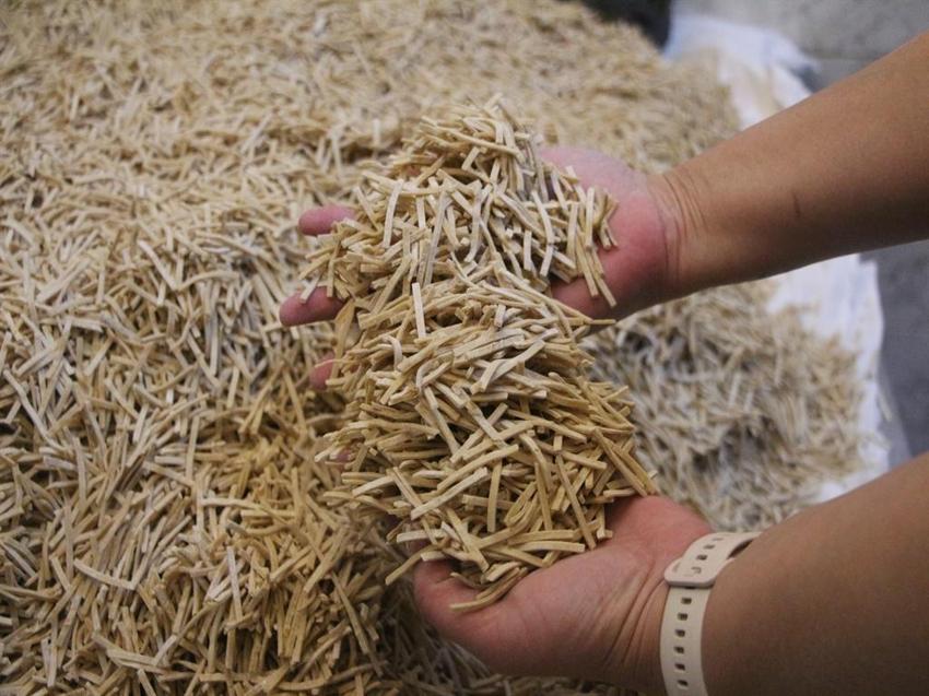 Kabuğunu kırmak isteyen  Adanalı kadınlardan emek hareketi: Ayda 3 ton üretiyoruz