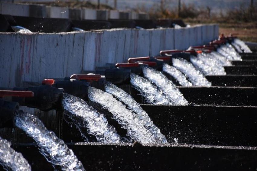 Köyden 10 Avrupa ülkesine alabalık ihracatı yapılıyor