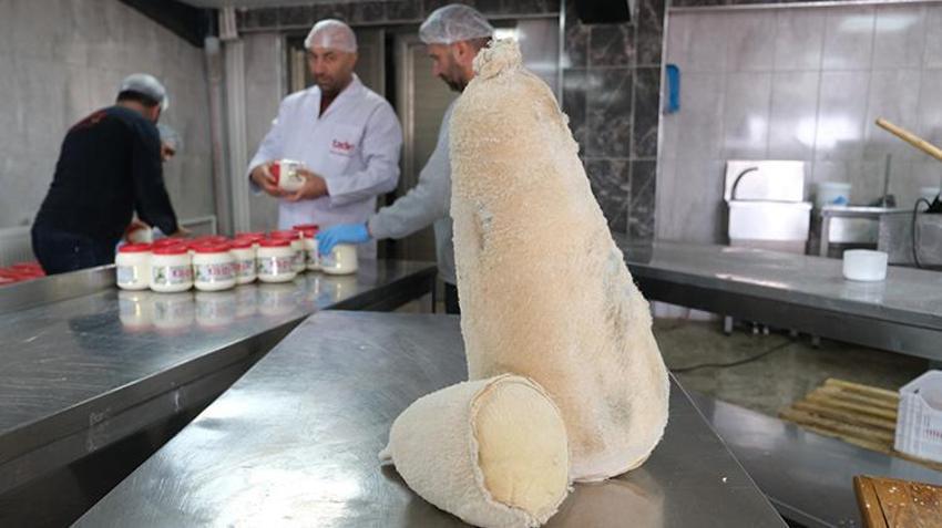 Orijinal Erzincan tulum peyniri nasıl olmalı? Taklitlere dikkat!