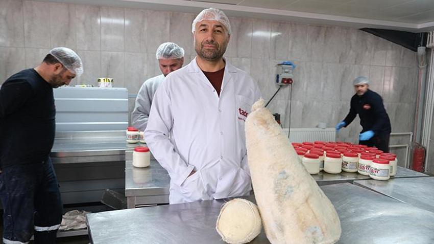 Orijinal Erzincan tulum peyniri nasıl olmalı? Taklitlere dikkat!