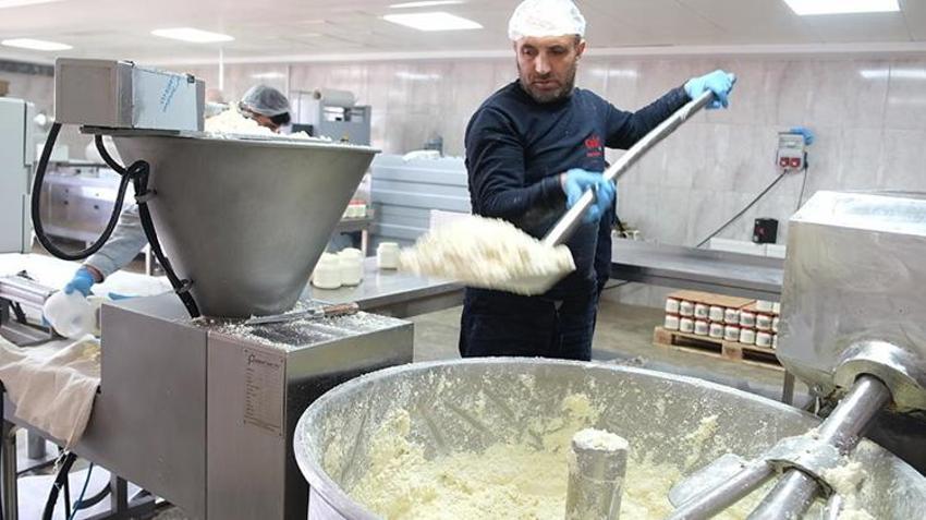 Orijinal Erzincan tulum peyniri nasıl olmalı? Taklitlere dikkat!