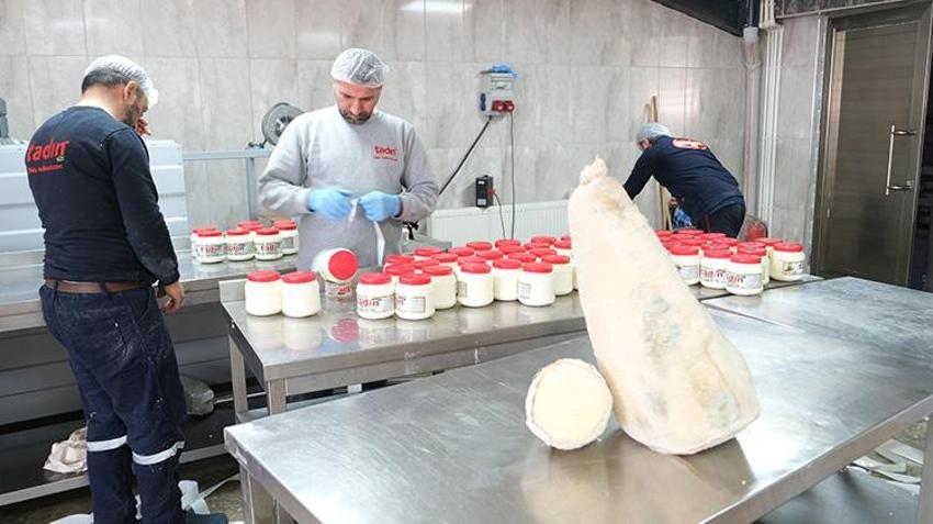 Orijinal Erzincan tulum peyniri nasıl olmalı? Taklitlere dikkat!