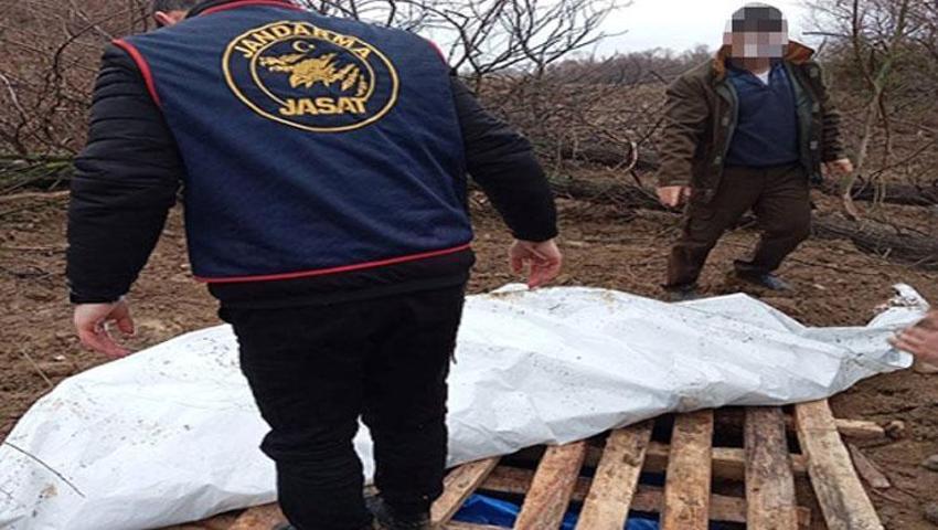 Çorum'da akılalmaz olay! 'Traktörüm çalındı' dedi, gerçek bambaşka çıktı