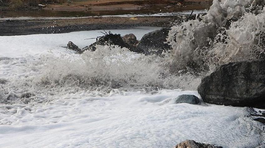 Adana'da kirlenen Ceyhan Nehri'nde balık ölümleri arttı! İnsan sağlığı tehdit altında