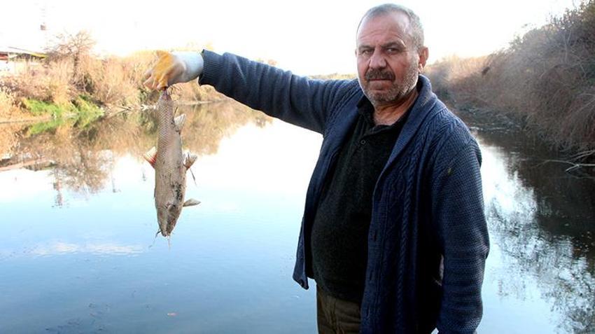 Adana'da kirlenen Ceyhan Nehri'nde balık ölümleri arttı! İnsan sağlığı tehdit altında