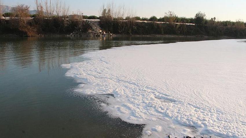 Adana'da kirlenen Ceyhan Nehri'nde balık ölümleri arttı! İnsan sağlığı tehdit altında