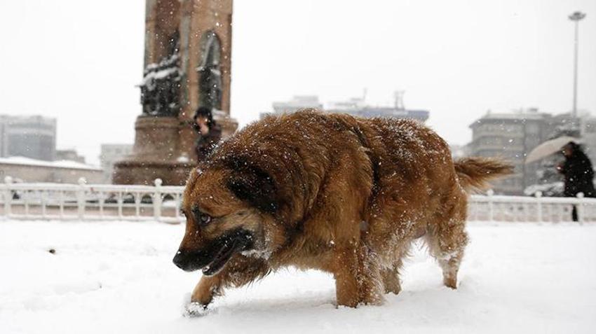 İstanbul'a kar neden yağmıyor? Dikkat çeken açıklama: Isı adası etkisi yaratıyor
