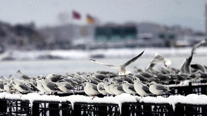İstanbul'a kar neden yağmıyor? Dikkat çeken açıklama: Isı adası etkisi yaratıyor