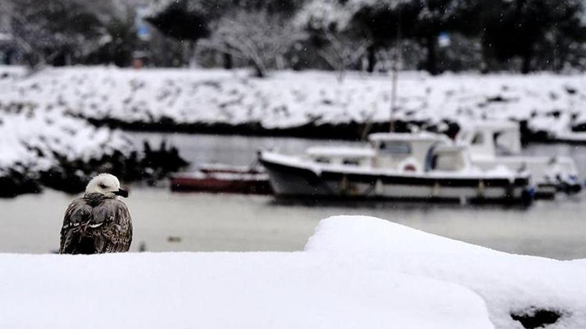 İstanbul'a kar neden yağmıyor? Dikkat çeken açıklama: Isı adası etkisi yaratıyor