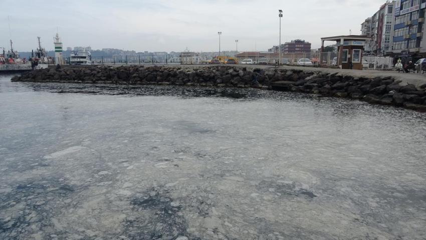 Çanakkale Boğaz'ında müsilaj alarmı: Canlı yaşam tehdit altında, balık ölümleri artabilir!