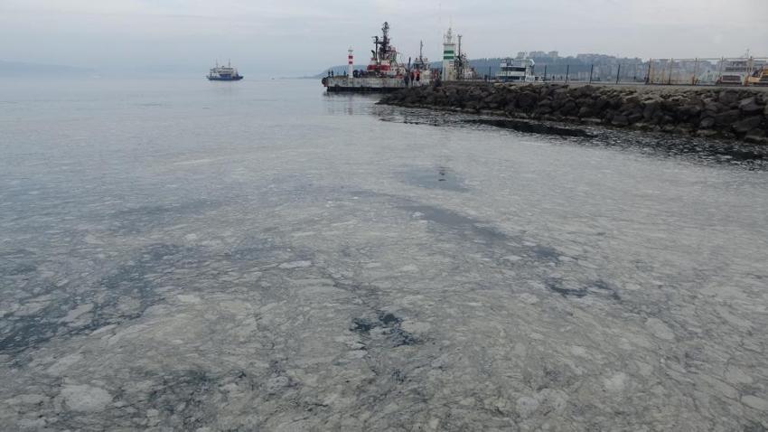 Çanakkale Boğaz'ında müsilaj alarmı: Canlı yaşam tehdit altında, balık ölümleri artabilir!