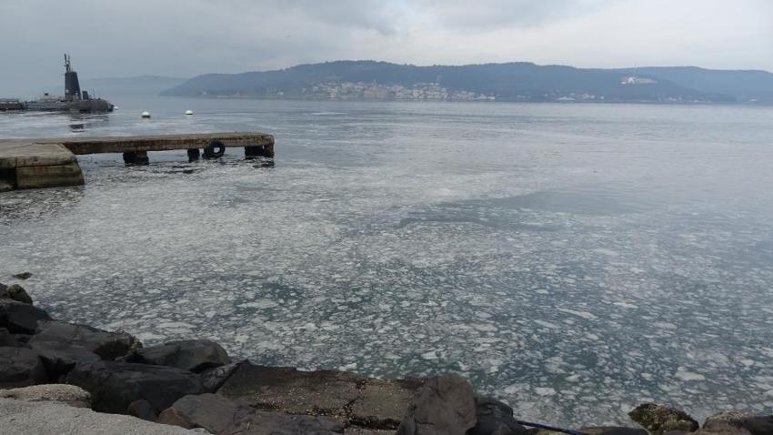 Çanakkale Boğaz'ında müsilaj alarmı: Canlı yaşam tehdit altında, balık ölümleri artabilir!