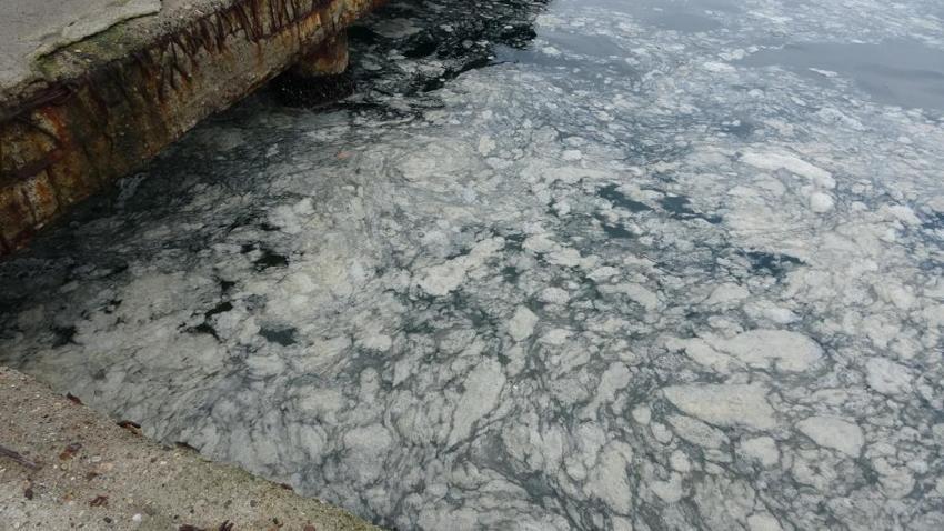 Çanakkale Boğaz'ında müsilaj alarmı: Canlı yaşam tehdit altında, balık ölümleri artabilir!