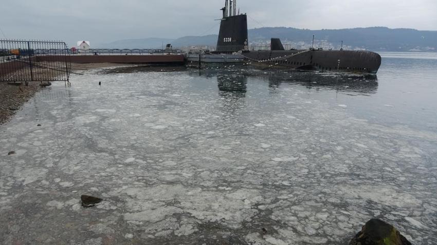 Çanakkale Boğaz'ında müsilaj alarmı: Canlı yaşam tehdit altında, balık ölümleri artabilir!