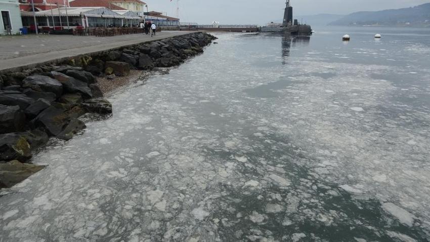 Çanakkale Boğaz'ında müsilaj alarmı: Canlı yaşam tehdit altında, balık ölümleri artabilir!