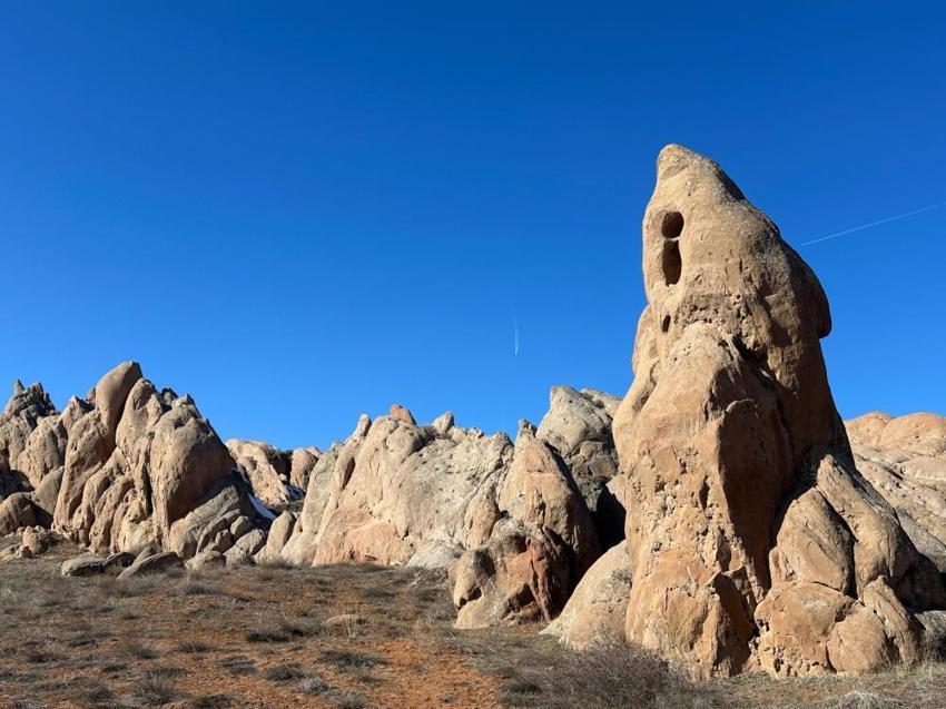 Nesli tükenme tehlikesindeki dağ keçileri, dünyadaki Mars'ta görüntülendiler!